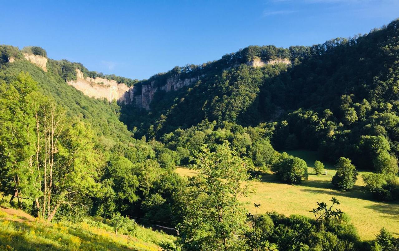 Gite Des Reculees Ladoye-sur-Seille エクステリア 写真