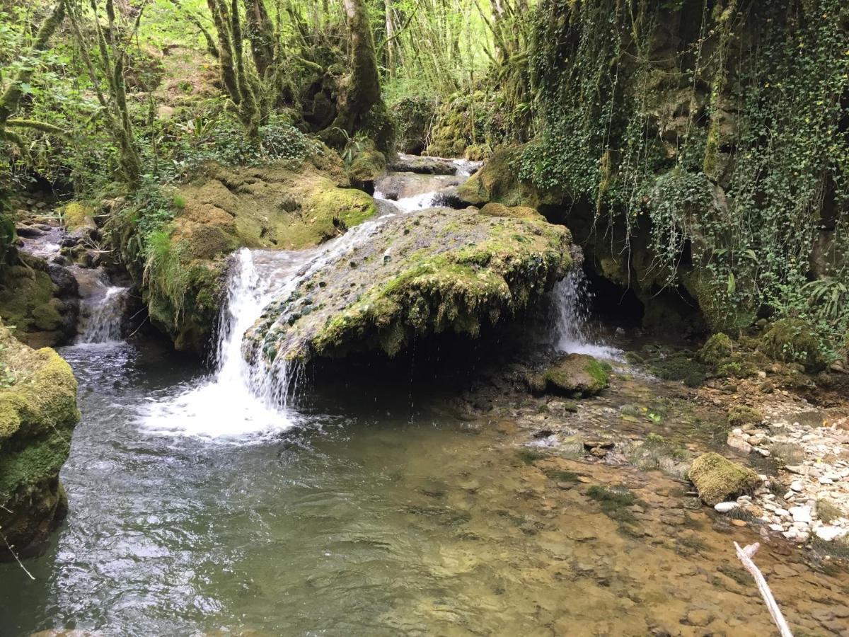 Gite Des Reculees Ladoye-sur-Seille エクステリア 写真