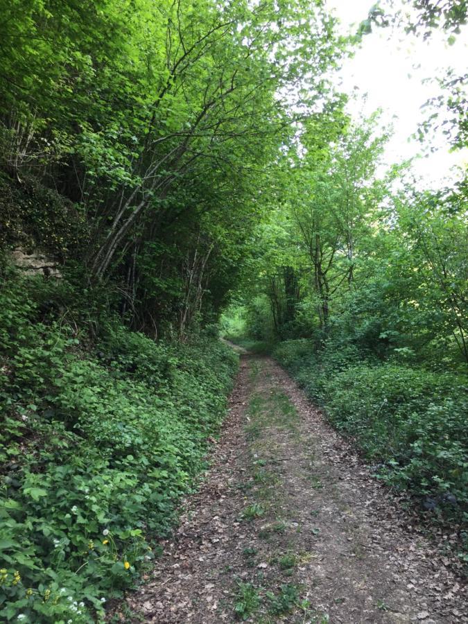 Gite Des Reculees Ladoye-sur-Seille エクステリア 写真