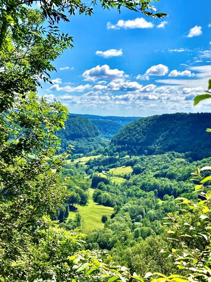 Gite Des Reculees Ladoye-sur-Seille エクステリア 写真