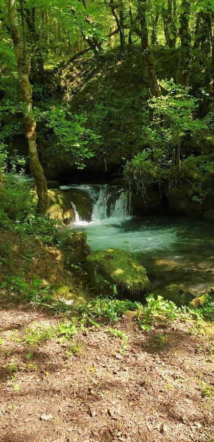 Gite Des Reculees Ladoye-sur-Seille エクステリア 写真
