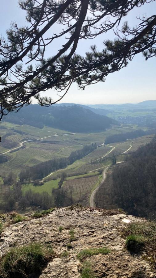 Gite Des Reculees Ladoye-sur-Seille エクステリア 写真